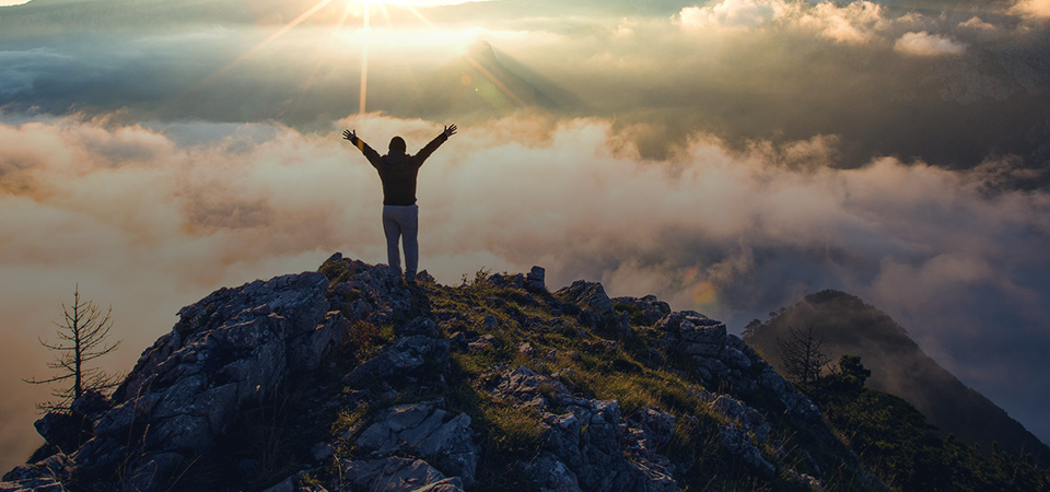 专业， 充满激情。