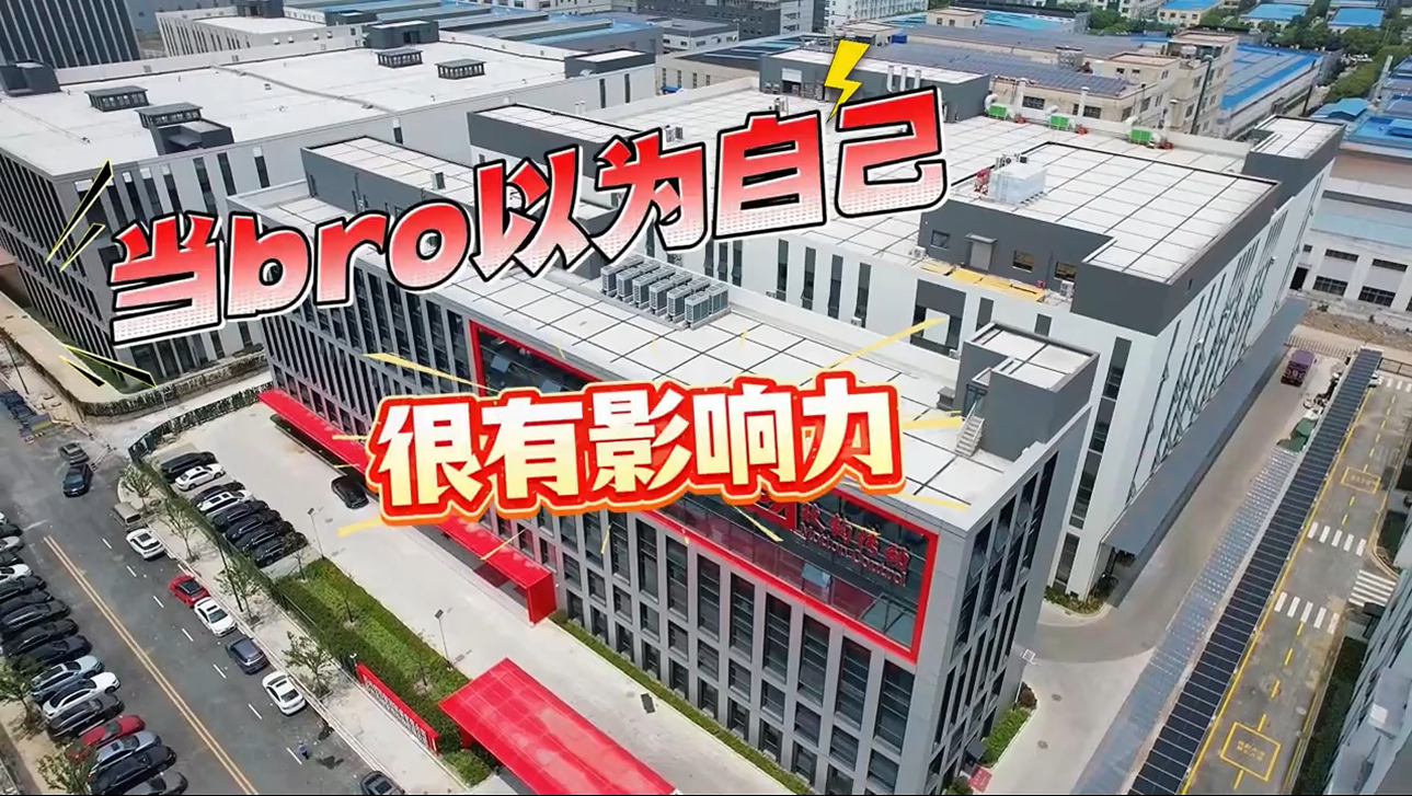 公司荣誉